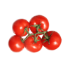 tomato - Image 2